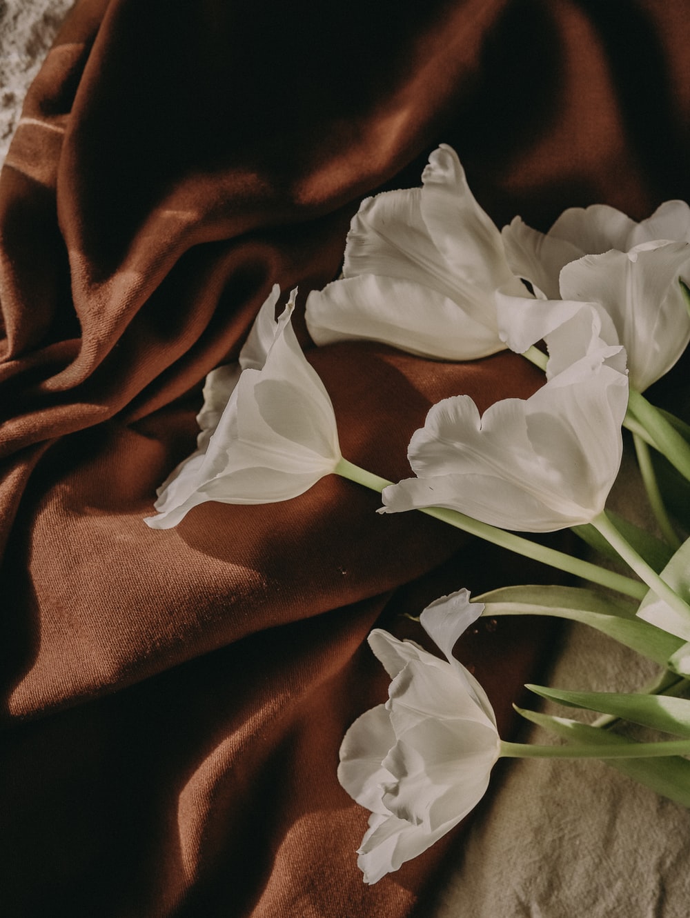 aesthetic looking white flowers on a brown cloth